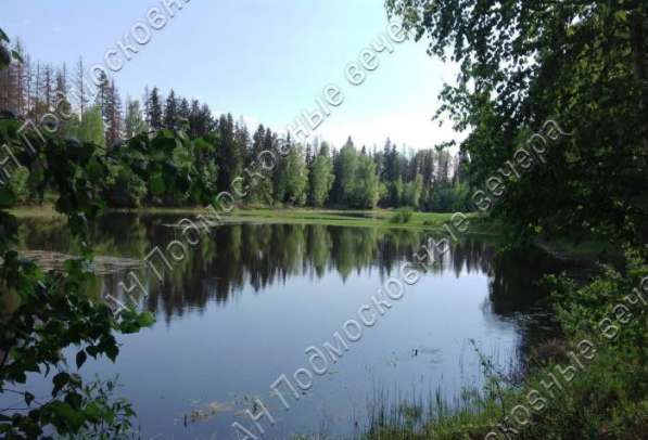 realty_mapper3.plot_in_locationСадовое некоммерческое тов-во. Площадь 18.00 сот.Есть Газ. в Москве фото 3