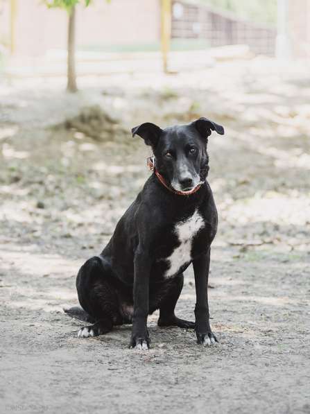 Улыбчивый лучик Фаина ищет семью в Москве фото 36