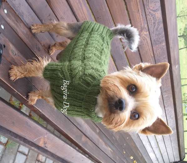 Свитера для собак ручной работы в Москве фото 31