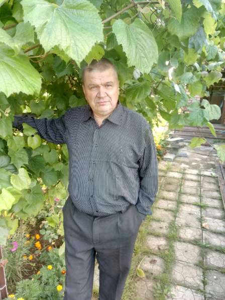 ИВАН, 59 лет, хочет познакомиться – Отдых под виноградом