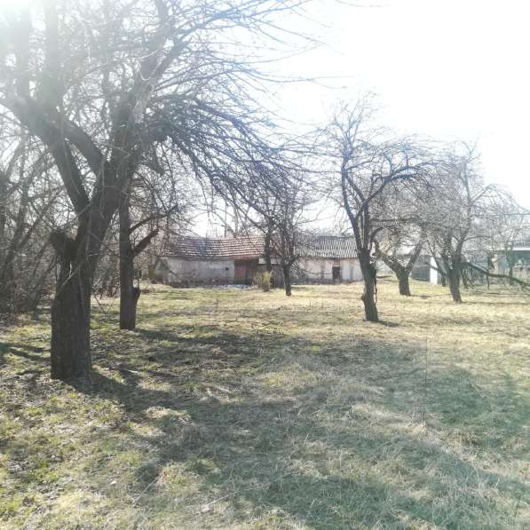 Продам дом с земельным участком в Прохоровке фото 3