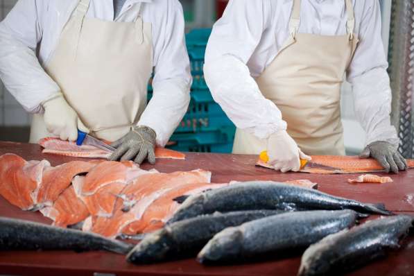 Разнорабочий на рыбное производство