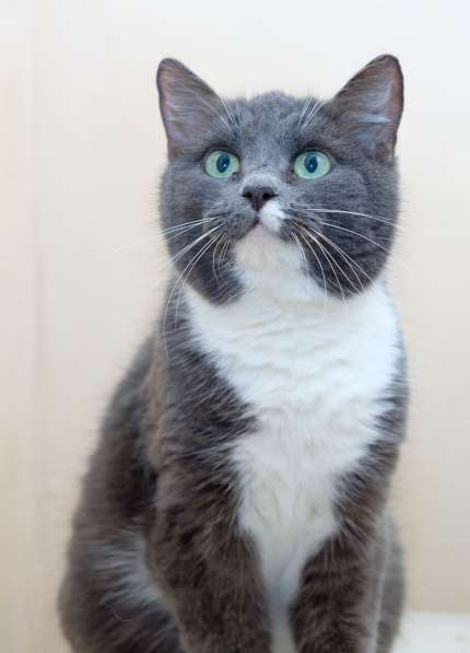 Нежная Пайпер ждет встречи с лучшим другом