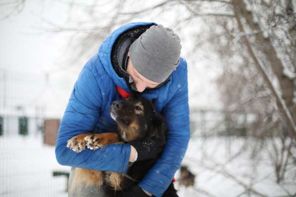 Собака-терапевт Пайпер ищет семью в Москве фото 7
