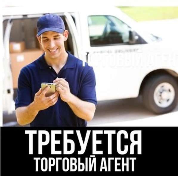 Торговый агент с авто. Развоз по готовым точкам