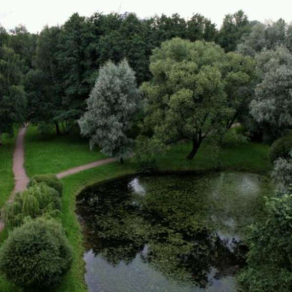 Усадьба на Ланском в Санкт-Петербурге