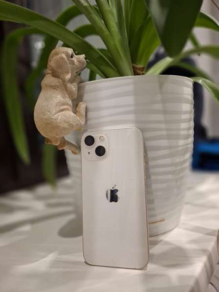 Apple iPhone 13 в Новосибирске фото 5