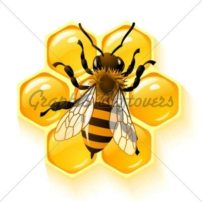 Продам мёд.медоносных пчёл.Пчёлопакеты