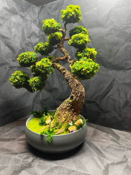 Композиция мини Бонсай в Раменское