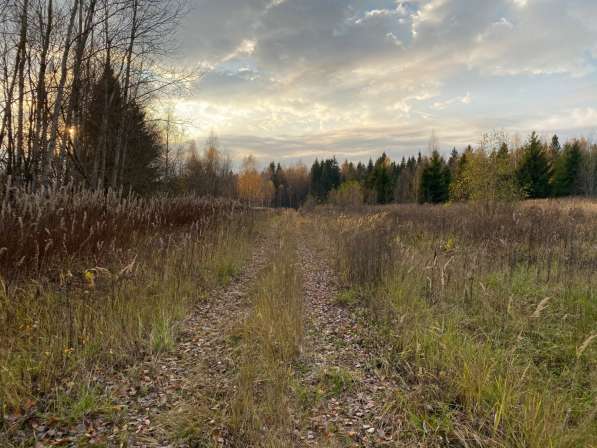 Участок в окружении леса, 15 кВт в Можайске фото 16