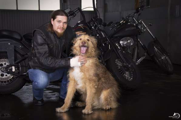 Кудряш - мальчик 3 года, в дар в Москве