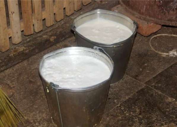 Продам молочную ферму в Крыму в Керчи фото 3