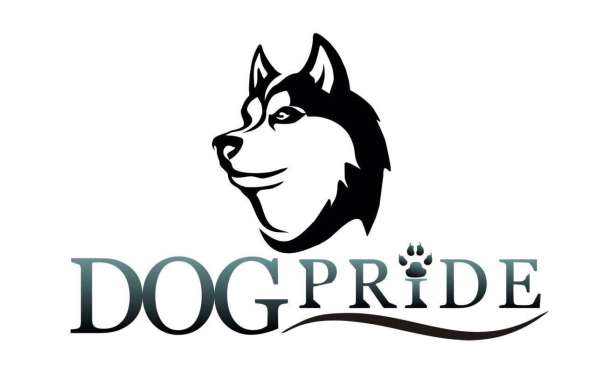 Кинологический тренинговый центр DogPride в Самаре