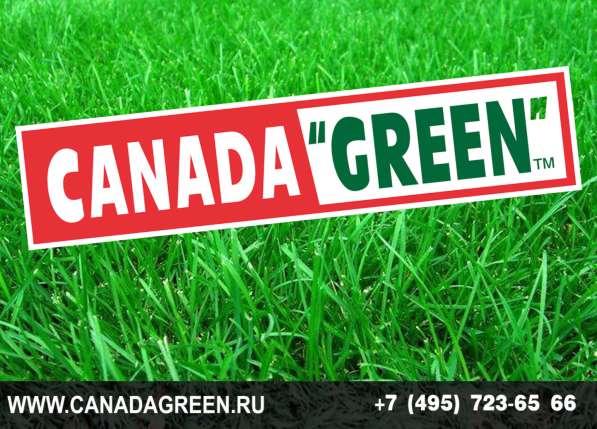 Газонные травосмеси канадагрин