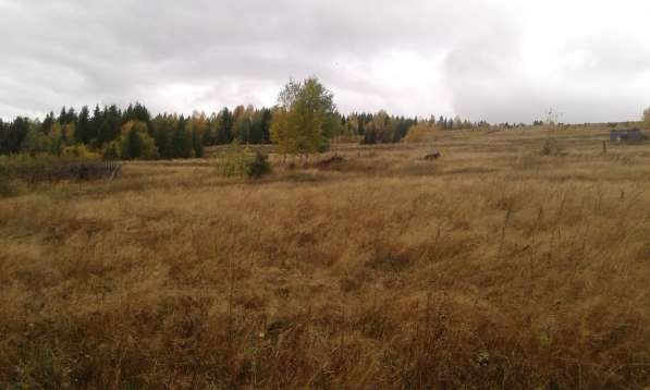 Продажа земельного участка под ИЖС в Красновишерске фото 6