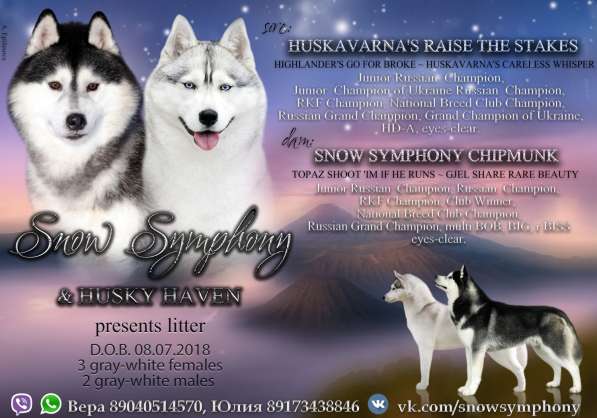 AVAILABLE - FOR SALE в Нижнем Новгороде