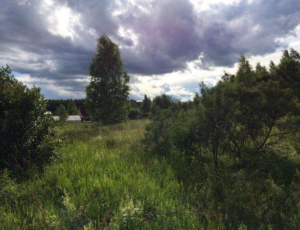 Продается земельный участок в СНТ "Цитофрез" (деревня Потапово) Можайский р-он, 134 км от МКАД по Минскому шоссе. в Можайске фото 3
