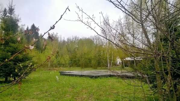 Лесной участок 14 сот.+проект дома в Голицыне фото 5