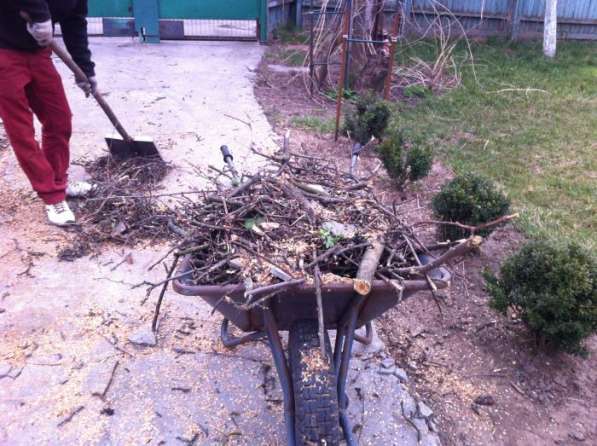 Предлагаем услуги по уборке садовых участков в Троицке фото 3