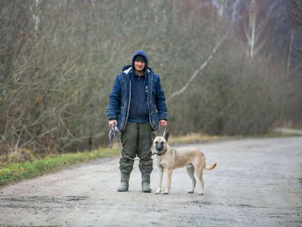 Взрослый пёс-метис Локи в добрые руки в Москве фото 4