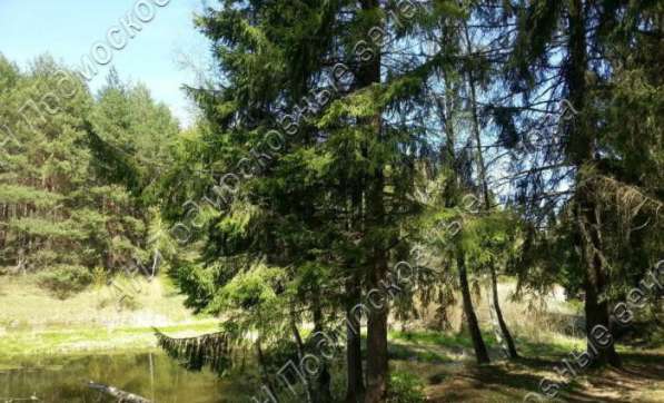 realty_mapper3.plot_in_locationСадовое некоммерческое тов-во. Площадь 15.00 сот.Есть Электричество. в Москве фото 34