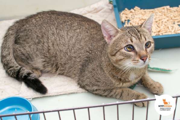 О чём мечтает Лионель Месси в Москве фото 4