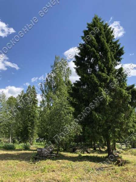 realty_mapper3.plot_in_locationПлощадь 42.00 сот.Есть Газ, Водопровод. в Москве фото 5