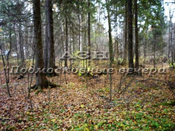 realty_mapper3.plot_in_locationСадовое некоммерческое тов-во. Площадь 12.00 сот.Есть Газ.