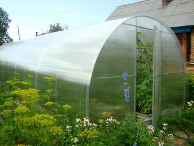 садовую теплицу с покрытием-поликарбонат
