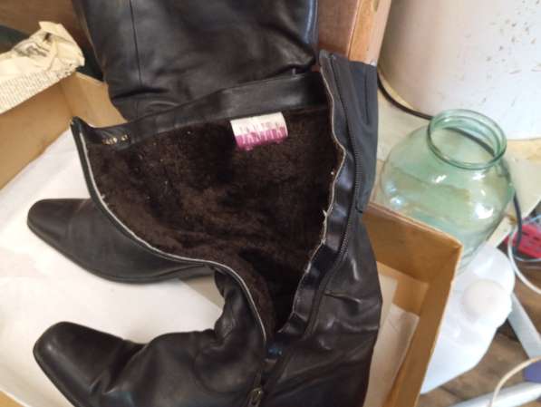 Сапоги женские