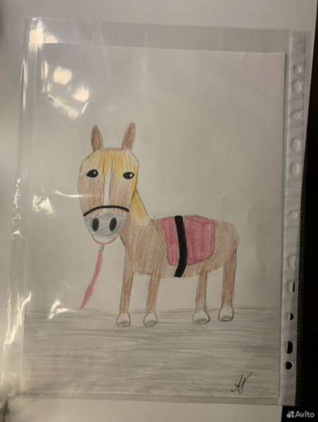 Рисунки ваших питомцев на заказ в Апатиты фото 4