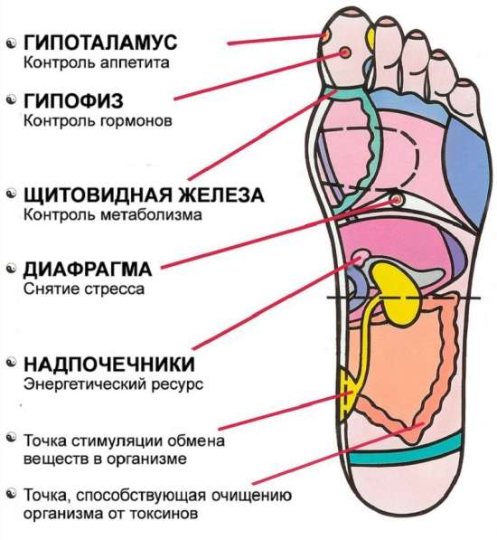 Доска Садху. Акупунктура в фото 4