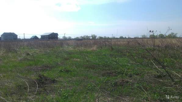 Участок 17.5 сот. (СНТ, ДНП) в Ивантеевка фото 6