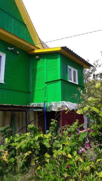 Покраска деревянных домов от 50 руб кв. м