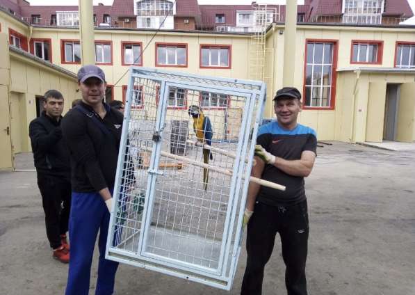 Грузчики в Курске фото 15
