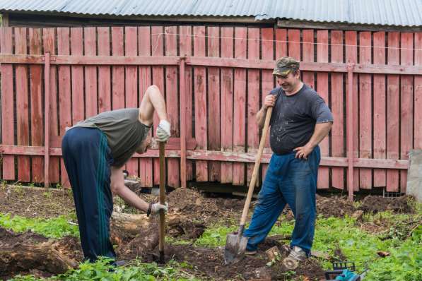 Садовые работы и благоустройство вашего участка