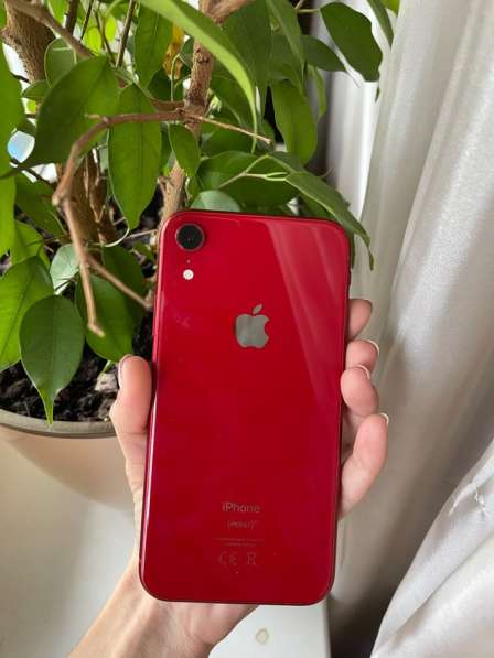 IPhone XR 64gb в Краснодаре фото 7