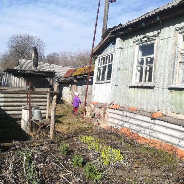 Продам дом с земельным участком в Прохоровке фото 4