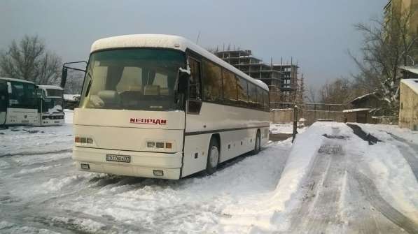 Пассажирские перевозки. Аренда автобуса. Услуги. Предоставля в фото 8