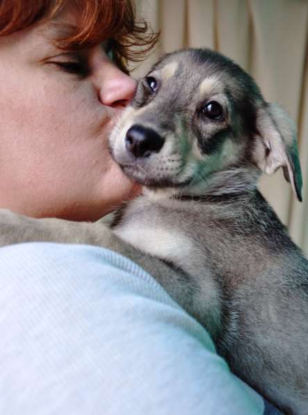 Великолепная Четверка в дар в Москве фото 44