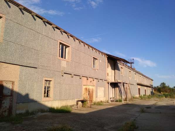 Производственная база (комплекс зданий и сооружений) в Щёлкино фото 13