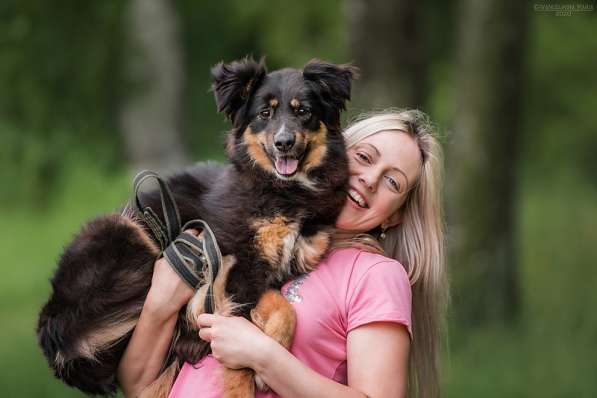 Чудо-собачка Фиби ищет семью в Москве фото 22