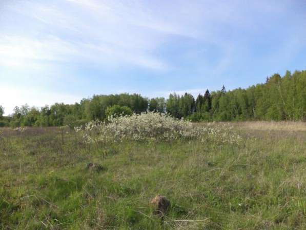 Продается земельный участок 9,5 соток в СНТ « сюково», Можайский р-он,120 км от МКАД по Минскому шоссе в Можайске фото 3