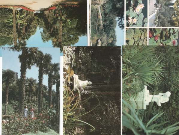 Открытки с видами Крыма 1990г и Ботанического сада в Волгограде фото 5