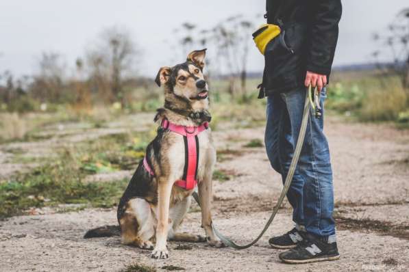 Нежнющий Купер в Москве фото 39