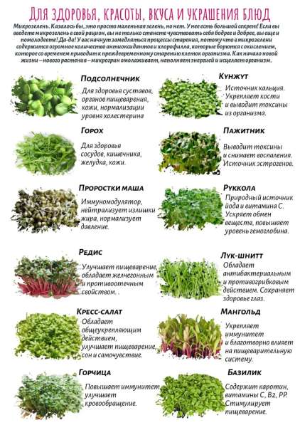 Предлагается Микрозелень и Витграсс в Подольске