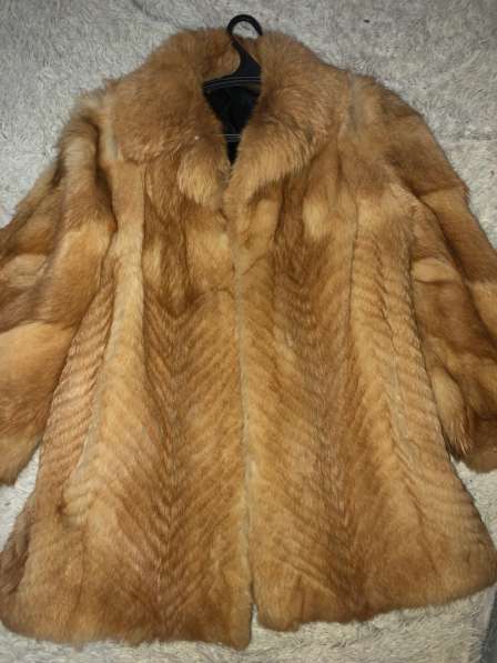 Шуба лисы