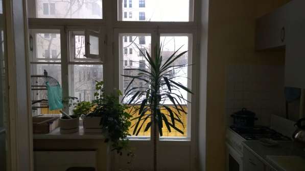 ПРОДАЮ ИЛИ МЕНЯЮ КОМНАТУ НА ФРУНЗЕНСКОЙ НАБЕРЕЖНОЙ в Москве фото 28