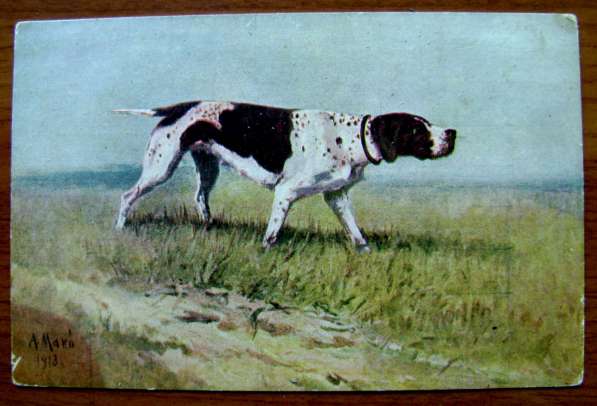 Редкая открытка Охота "На стойке"1916 год
