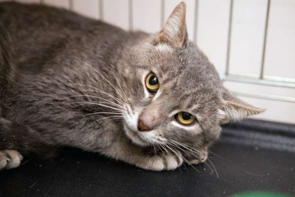 Трогательный Эрик в поисках дома